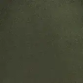 24229316 - ASPARAGO